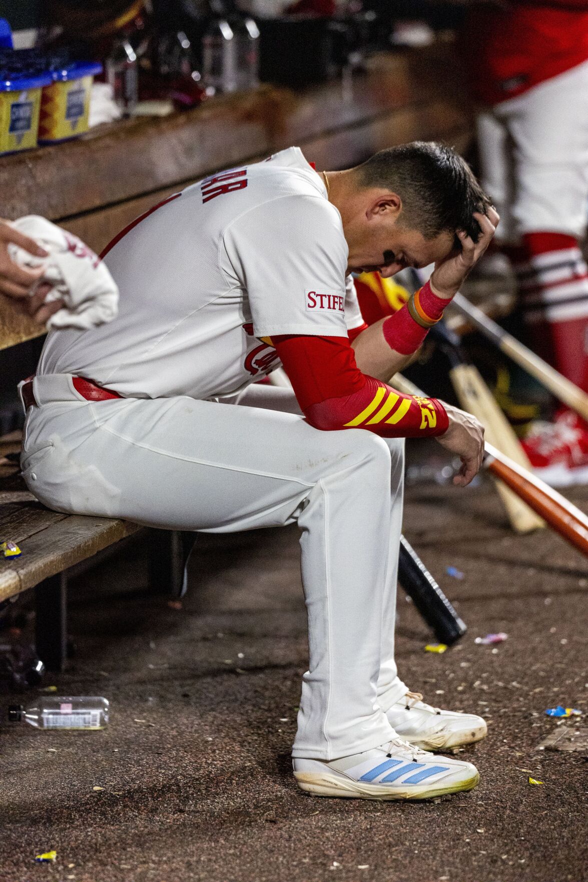 51黑料 Cardinals host Blue Jays